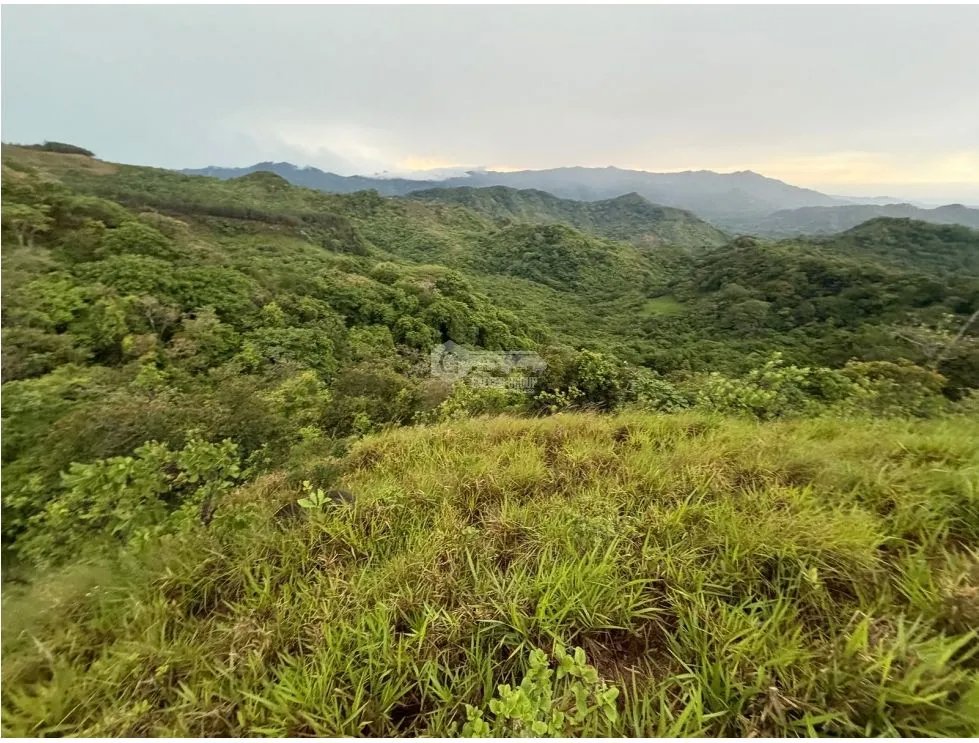 Building Lot for sale in Sora