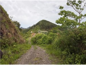 SE VENDE TERRENO EN CHAME SORÁ 21 HECTAR...