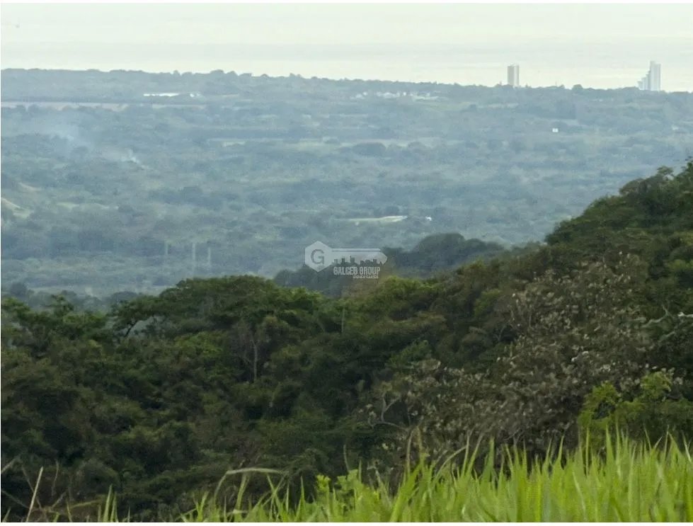 Land/Farm for sale in Sora