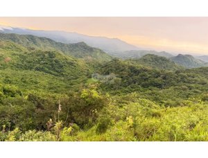 Land/Farm for sale in Sora