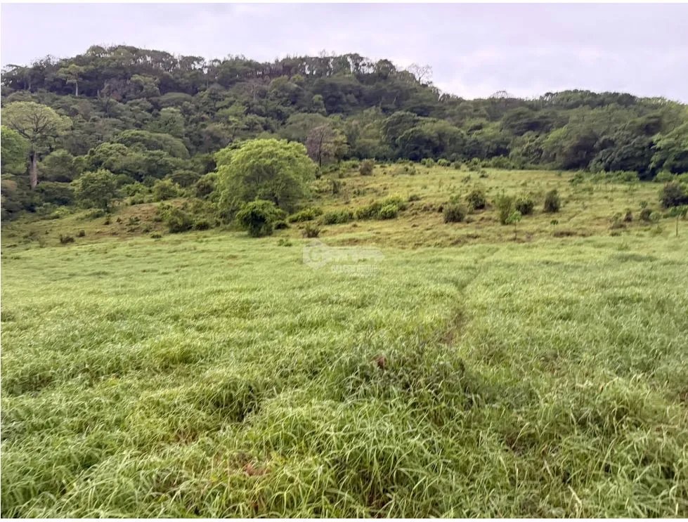 Building Lot for sale in Sora