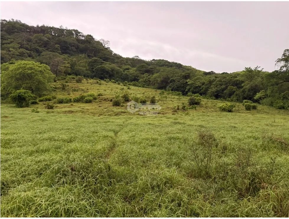 SE VENDE FINCA EN LOS CAJONES DE CHAME 7 HECTÁREAS VIA ASFALTADA