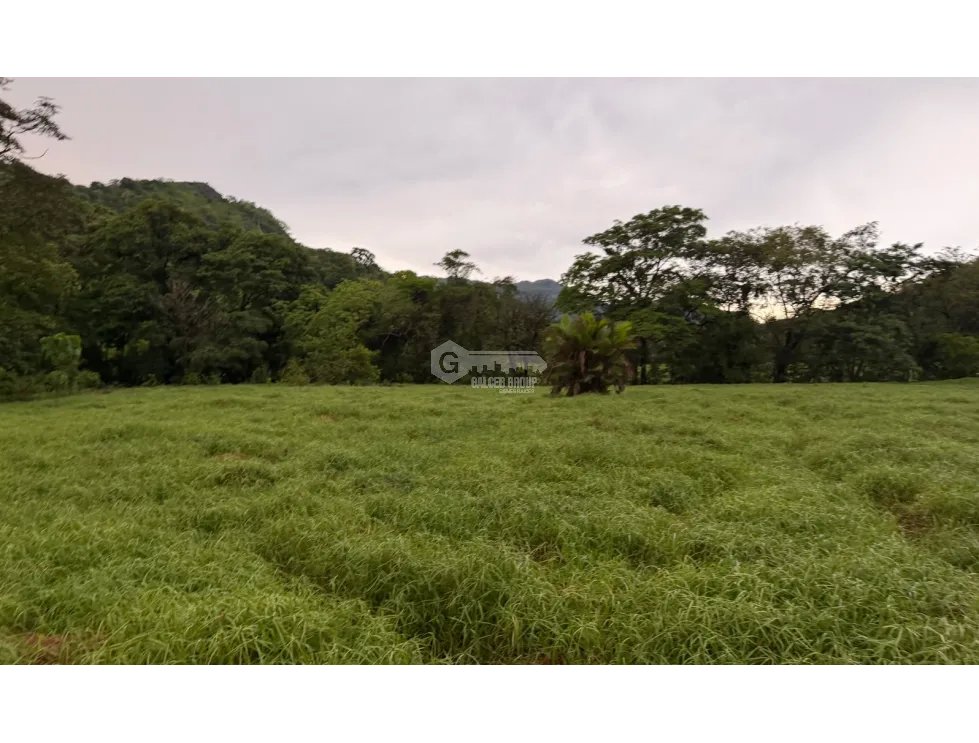 SE VENDE FINCA EN LOS CAJONES DE CHAME 7 HECTÁREAS VIA ASFALTADA