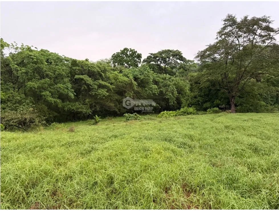 SE VENDE FINCA EN LOS CAJONES DE CHAME 7 HECTÁREAS VIA ASFALTADA