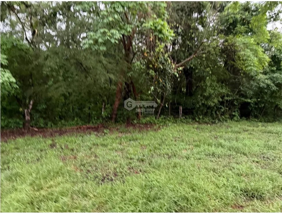SE VENDE FINCA EN LOS CAJONES DE CHAME 7 HECTÁREAS VIA ASFALTADA