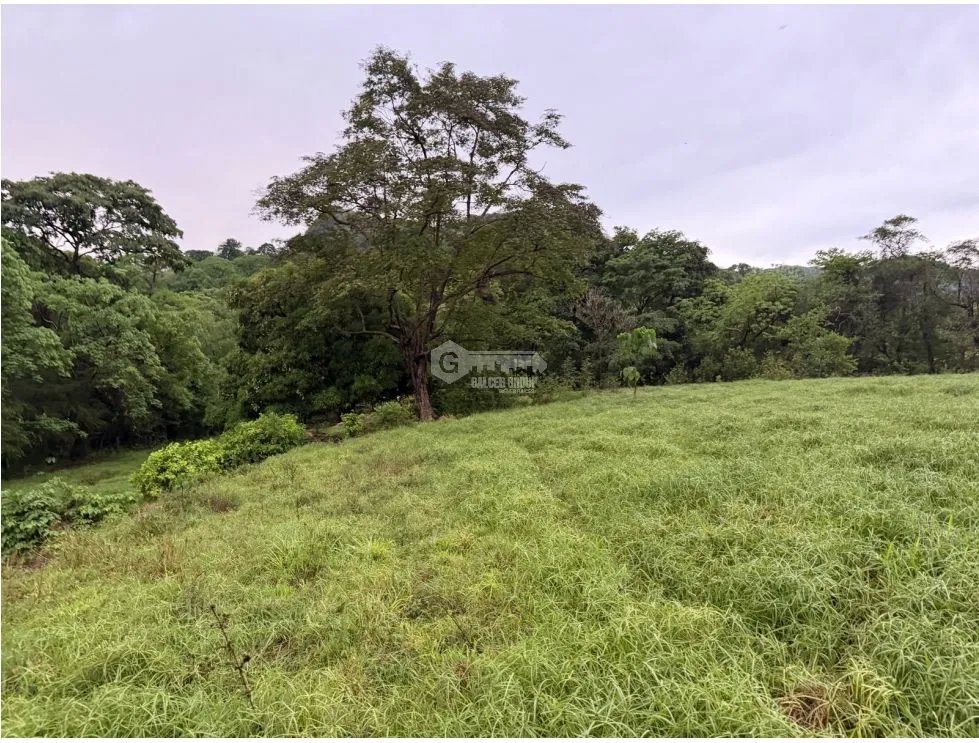SE VENDE FINCA EN LOS CAJONES DE CHAME 7 HECTÁREAS VIA ASFALTADA