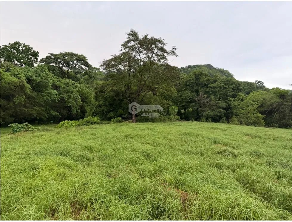 SE VENDE FINCA EN LOS CAJONES DE CHAME 7 HECTÁREAS VIA ASFALTADA