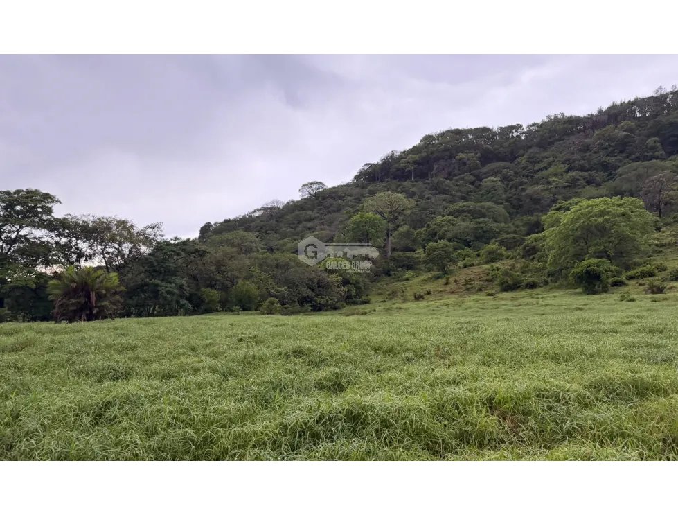 TERRENO / CHAME / LOS CAJONES /  70K M / VIA ASFALTADA/ AGUA VIVA