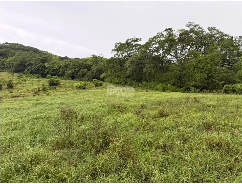 TERRENO / CHAME / LOS CAJONES /  70K M / VIA ASFALTADA/ AGUA VIVA