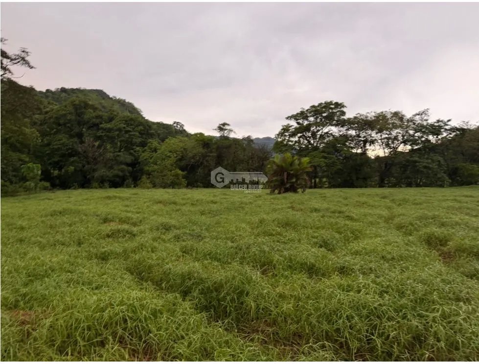 TERRENO / CHAME / LOS CAJONES /  70K M / VIA ASFALTADA/ AGUA VIVA