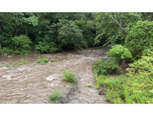 Land/Farm for sale in Sora