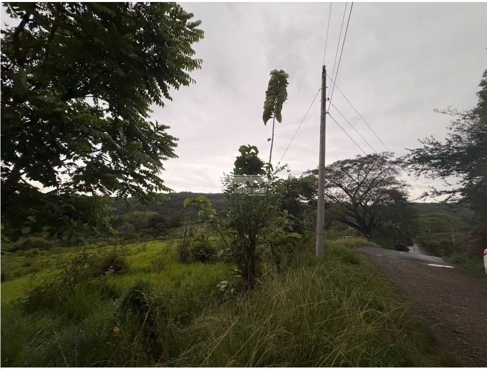SE VENDE TERRENO LOS CAJONES DE CHAME 1800M SOBRE VIA ASFALTADA