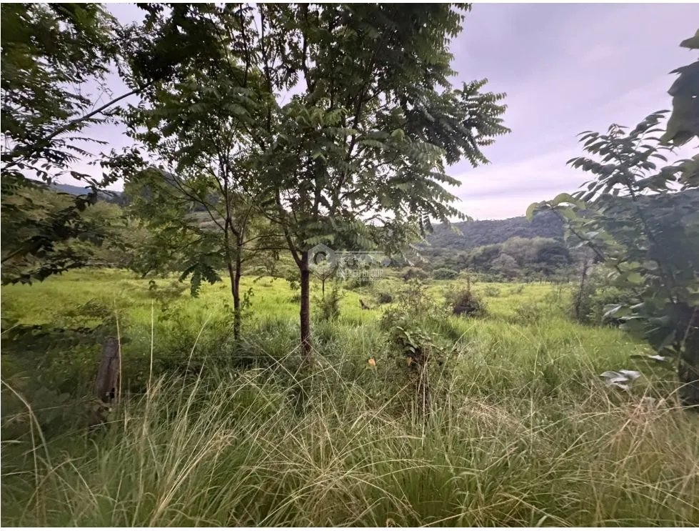 TERRENO / CHAME / LOS CAJONES / 1800M / SOBRE VIA ASFALTADA