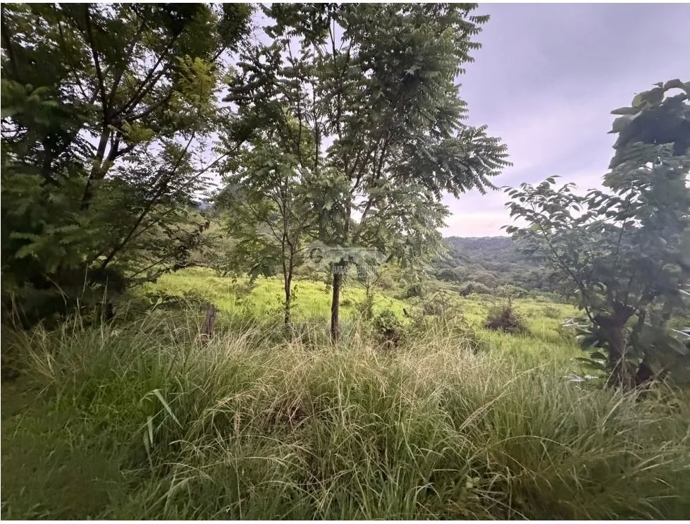TERRENO / CHAME / LOS CAJONES / 1800M / SOBRE VIA ASFALTADA