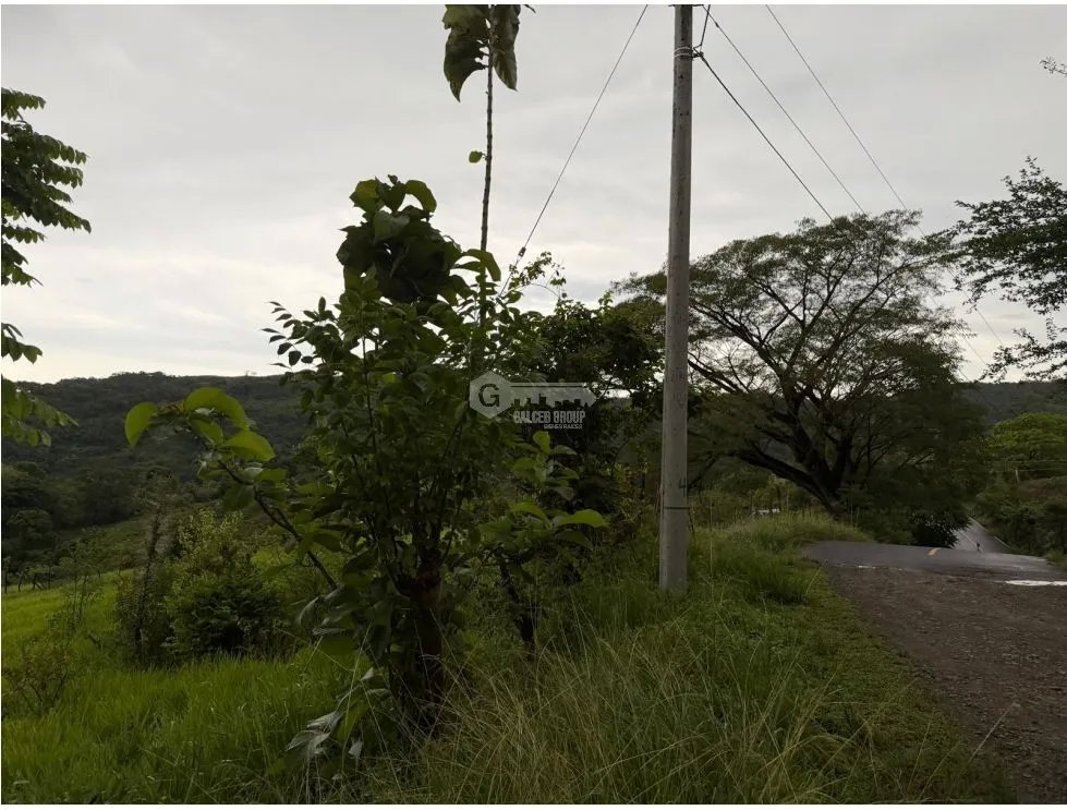 TERRENO / CHAME / LOS CAJONES / 1800M / SOBRE VIA ASFALTADA
