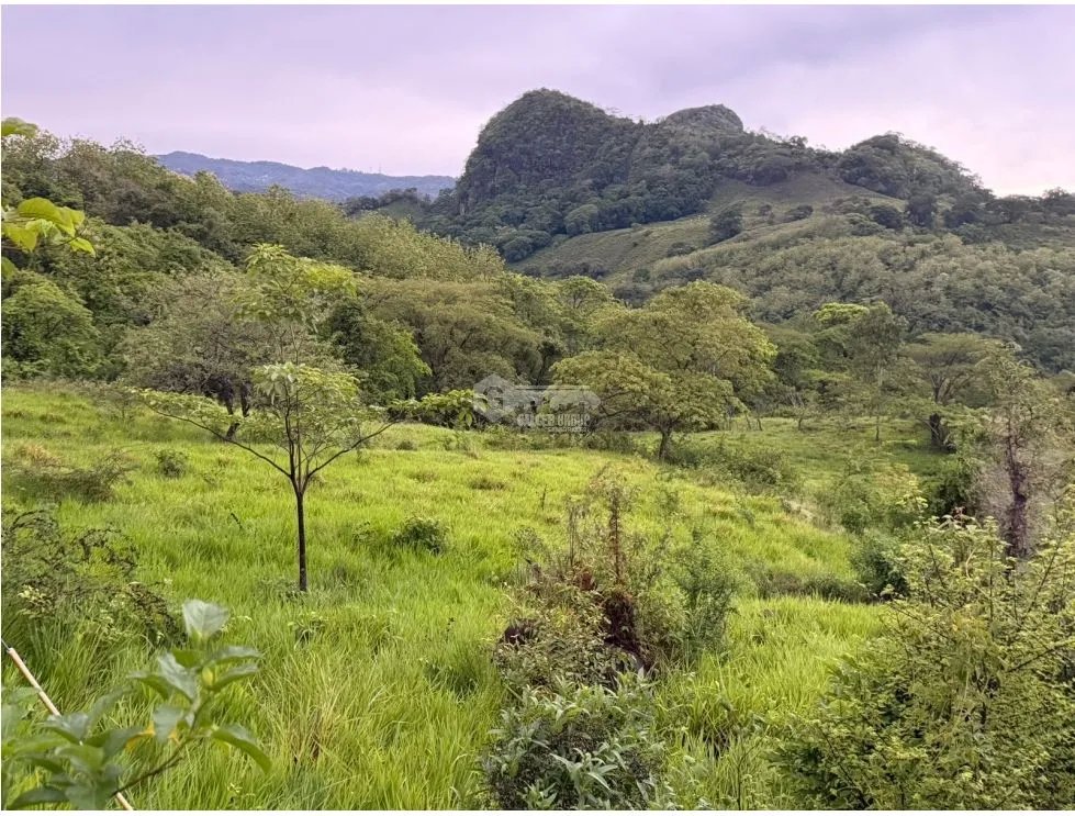 SE VENDE FINCA EN LOS CAJONES DE CHAME 2 HECTÁREAS SOBRE VIA ASFALTADA