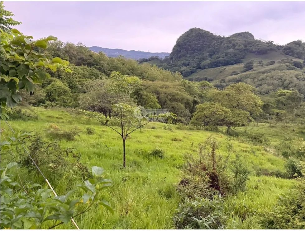 Land/Farm for sale in Sora
