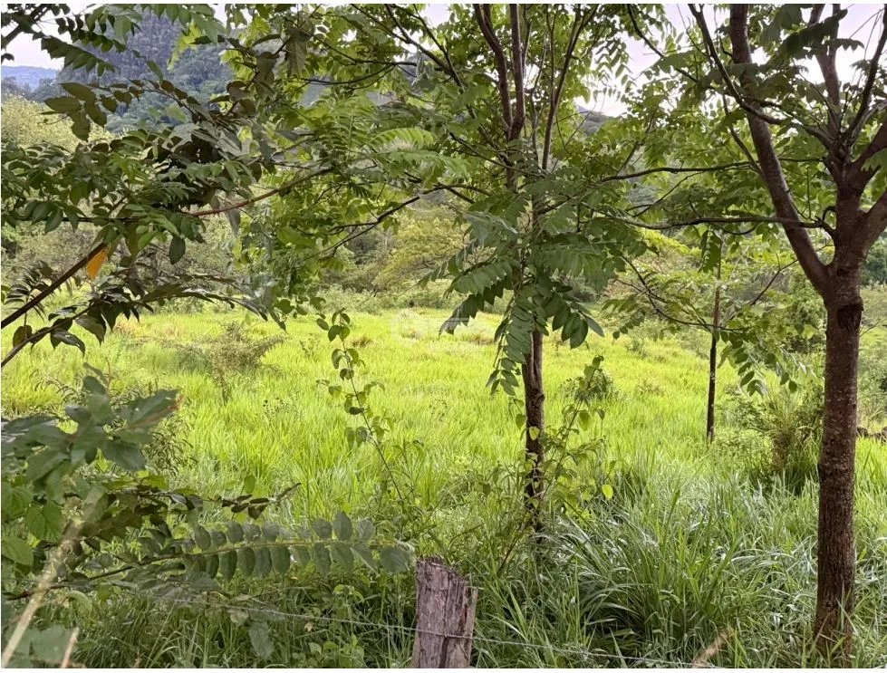 FINCA / CHAME / LOS CAJONES / 2 HECTÁREAS / SOBRE VIA ASFALTADA