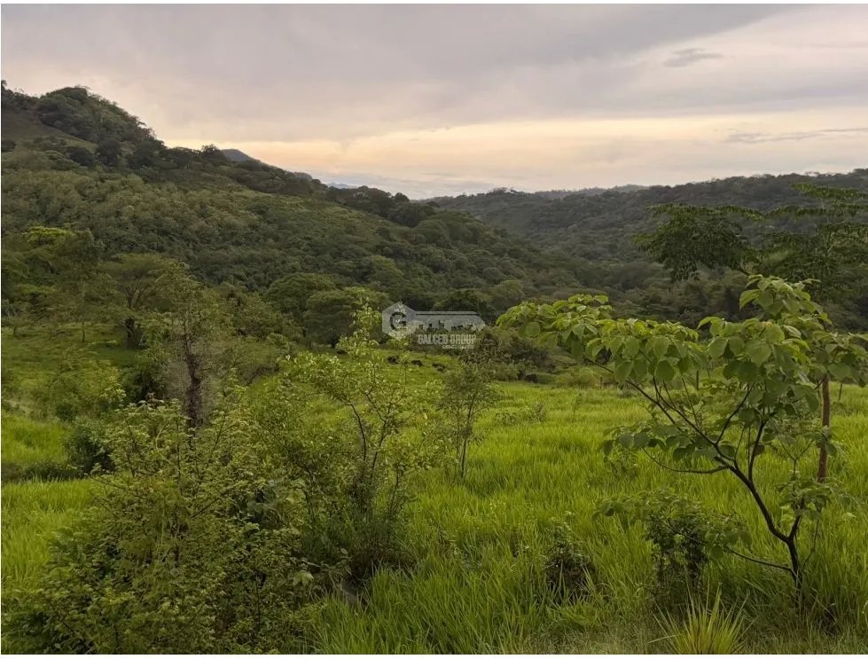 FINCA / CHAME / LOS CAJONES / 2 HECTÁREAS / SOBRE VIA ASFALTADA