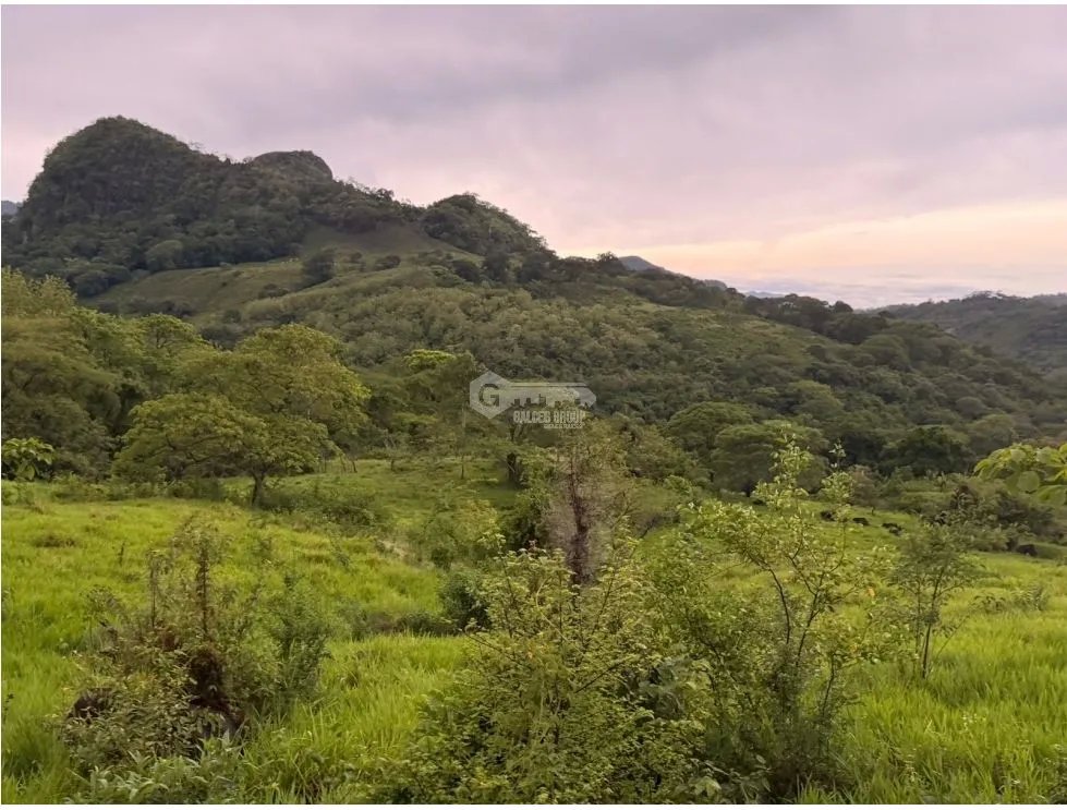 FINCA / CHAME / LOS CAJONES / 2 HECTÁREAS / SOBRE VIA ASFALTADA
