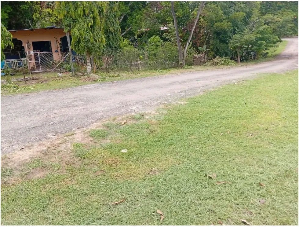 SE VENDE TERRENO EN GORGONA  1,269 M2 SOBRE VÍA ASFALTADA