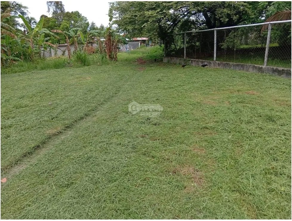TERRENO / GORGONA / 1,269 M2 / SOBRE LA VÍA / LOTE PLANO