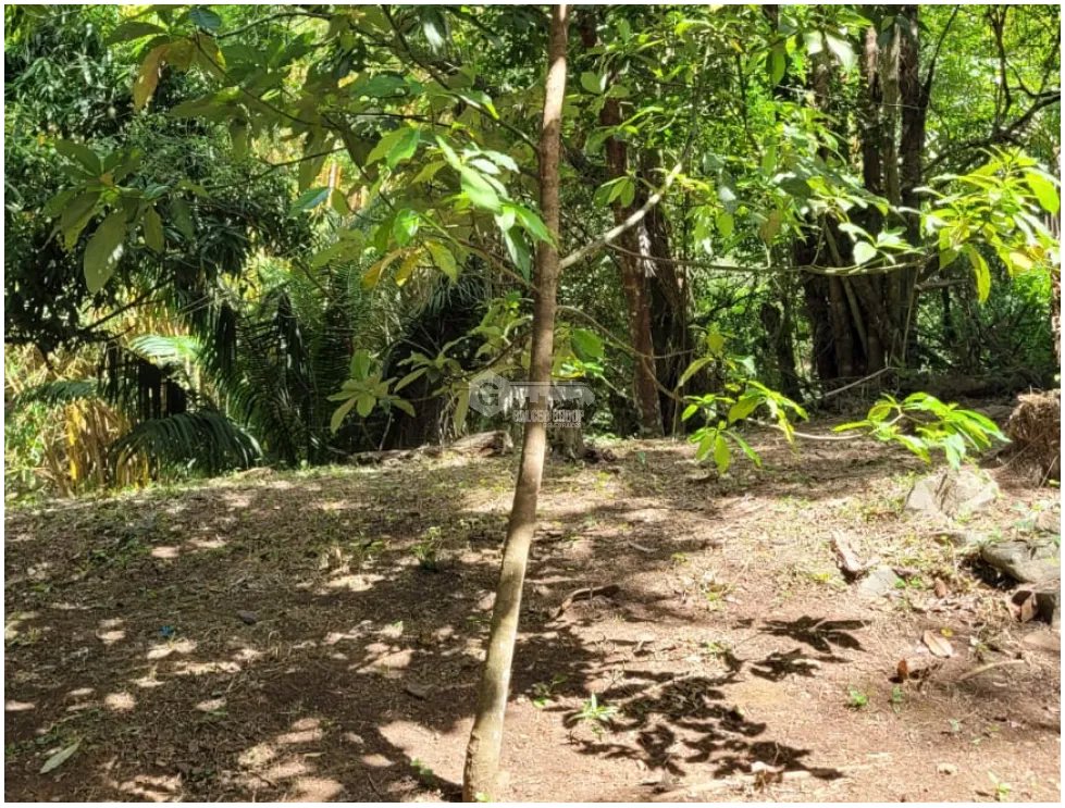 SE VENDE TERRENO EN CAPIRA 2000 M2 CAMPANA