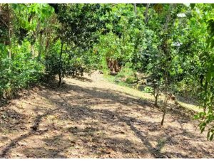 Building Lot for sale in Capira