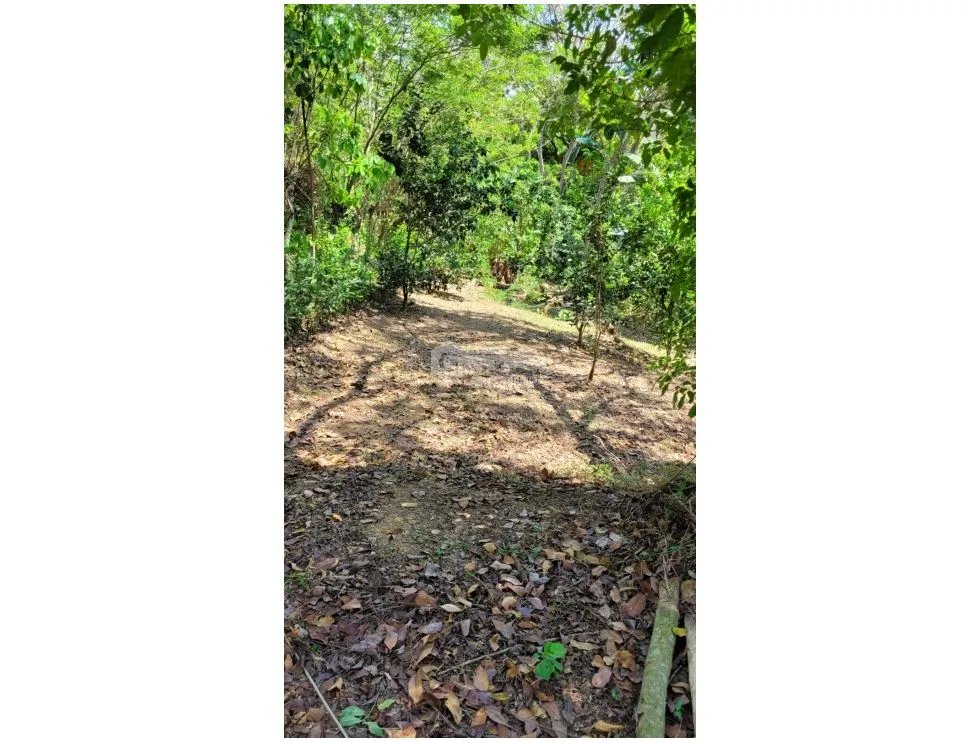 CAPIRA / CAMPANA / 2000M2 / TERRENO / FINCA
