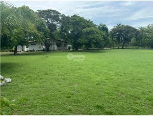 TERRENO / CHAME / 1250 M2 / CORONADO / L...