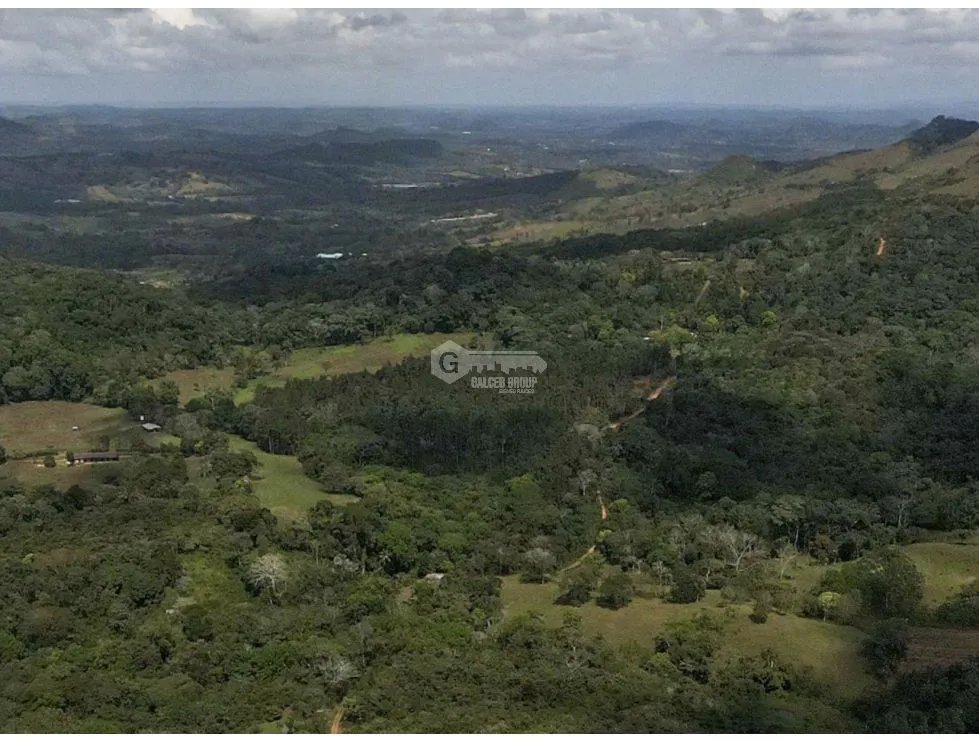 LOTE / CAPIRA / CERMEÑO / 21 HECTAREAS / INVERSION / REMATE