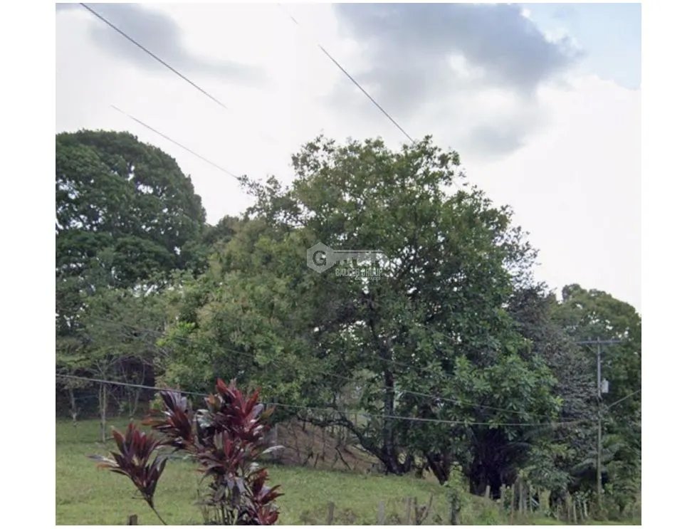 LOTE / CAPIRA / CERMEÑO / 21 HECTAREAS / INVERSION / REMATE