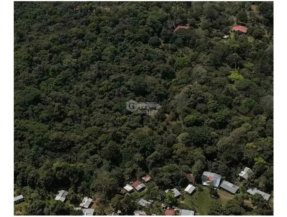 LOTE / CAPIRA / CERMEÑO / 21 HECTAREAS / INVERSION / REMATE