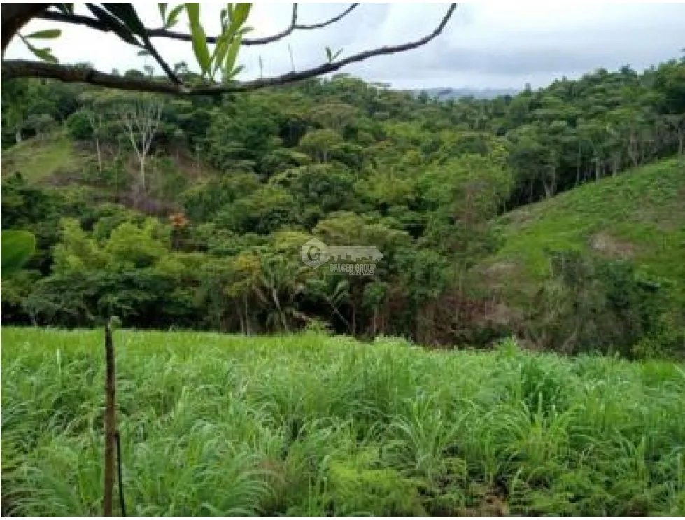 LOTE / CAPIRA / CERMEÑO / 21 HECTAREAS / INVERSION / REMATE