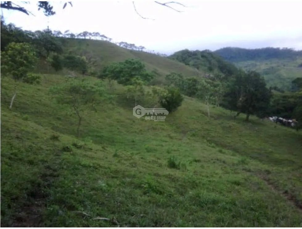 LOTE / CAPIRA / CERMEÑO / 21 HECTAREAS / INVERSION / REMATE