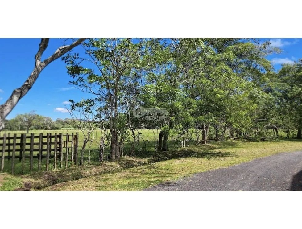 LOTE / CAPIRA / CERMEÑO / 21 HECTAREAS / INVERSION / REMATE