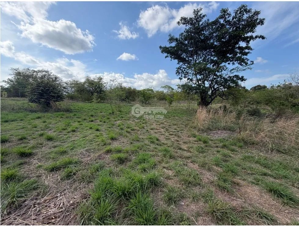SE VENDE FINCA EN CHAME VIA ALTOS DE MARIA 6 HECTÁREAS