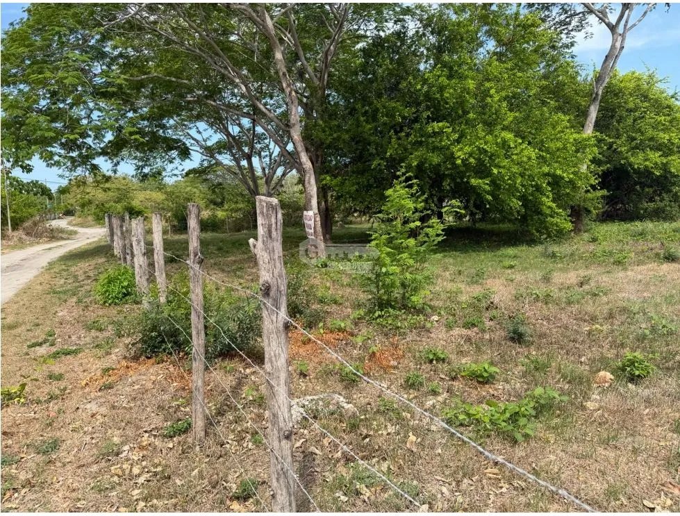 TERRENO / CHAME / 2000 M2 / PLAYA MALIBU / SEGUNDA LINEA DEL MAR