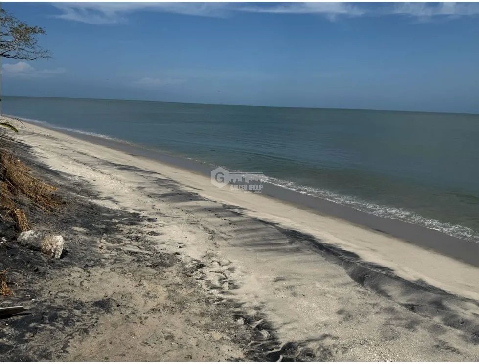 TERRENO / CHAME / 2000 M2 / PLAYA MALIBU / SEGUNDA LINEA DEL MAR