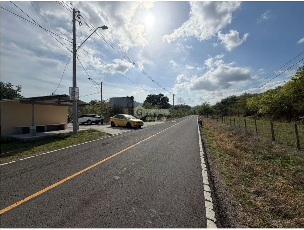 SE VENDE  FINCA EN VIA ALTOS DE MARIA  30 HECTÁREAS SOBRE VIA ASFALTO