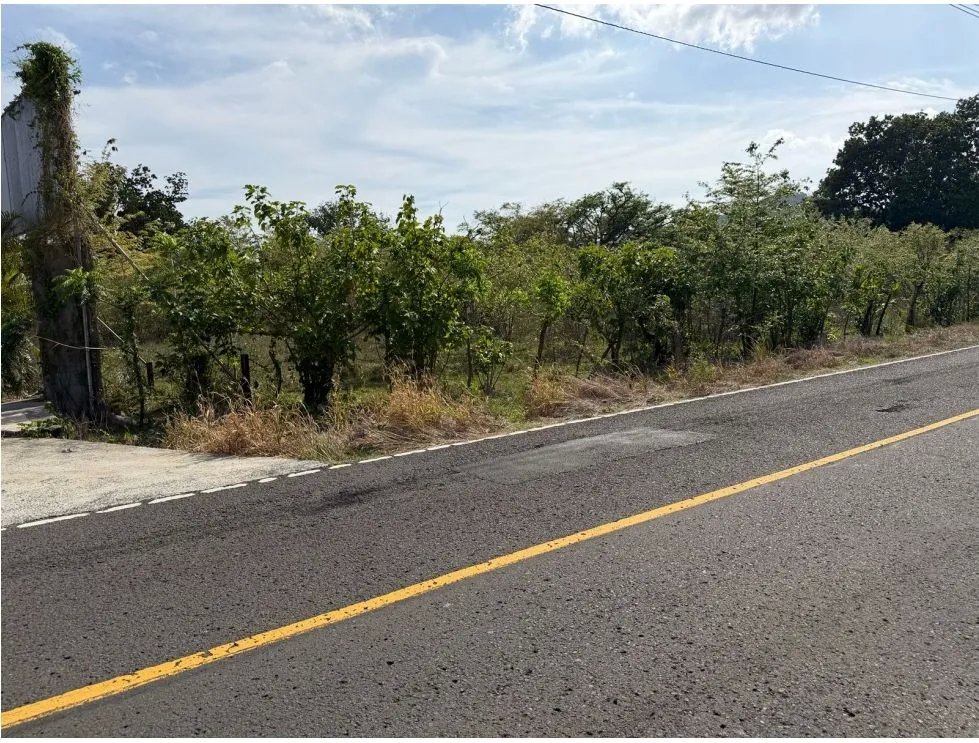 SE VENDE  FINCA EN VIA ALTOS DE MARIA  30 HECTÁREAS SOBRE VIA ASFALTO