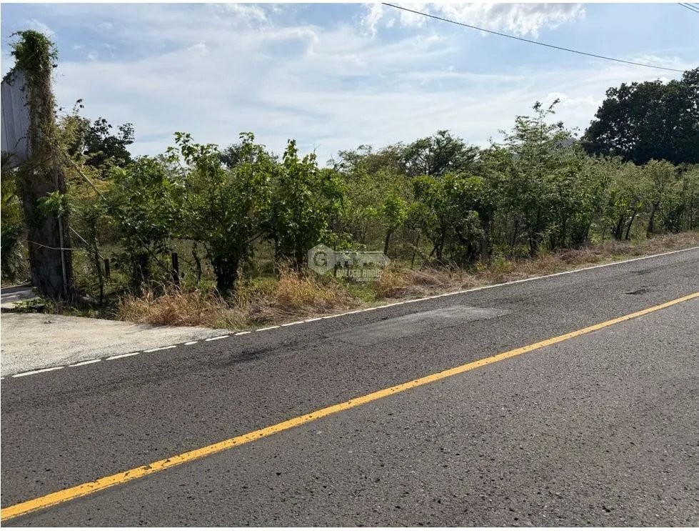 SE VENDE  FINCA EN VIA ALTOS DE MARIA  30 HECTÁREAS SOBRE VIA ASFALTO