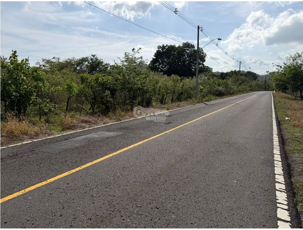 Land/Farm for sale in Chame