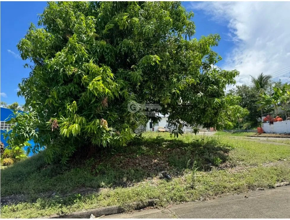 SE VENDE TERRENO EN VILLA ZAITA VILLAS ALPINAS DE 608M PLANO