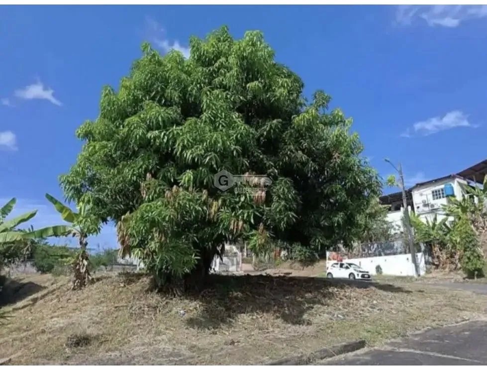 VILLA ZAITA / VILLAS ALPINAS / TERRENO / 608M / ESQUINA / PLANO