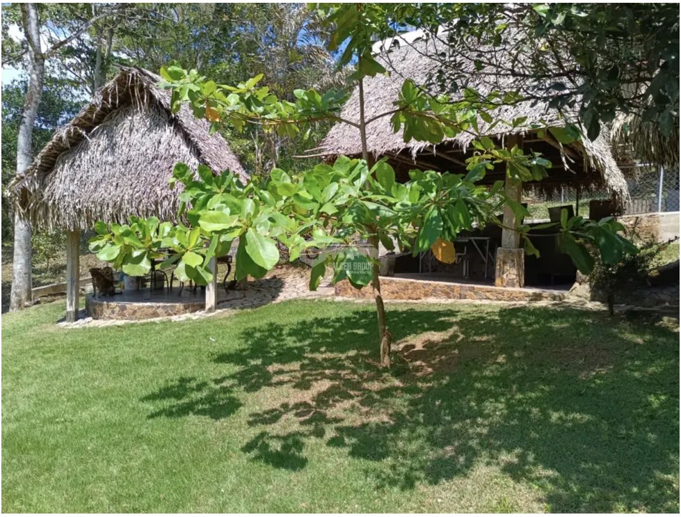 SE VENDE FINCA DE 26 HECTAREA UBICADA EN EL CACAO CAPIRA NEGOCIABLE