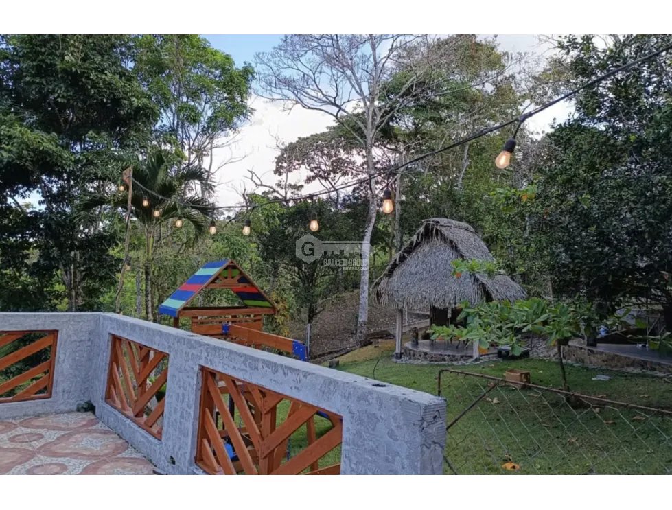 SE VENDE FINCA DE 26 HECTAREA UBICADA EN EL CACAO CAPIRA NEGOCIABLE