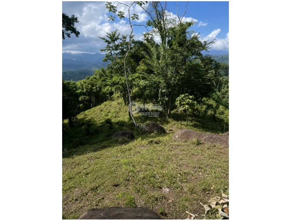 FINCA / 26 HECTAREA / EL CACAO / CAPIRA / POTENCIAL TURISTICO