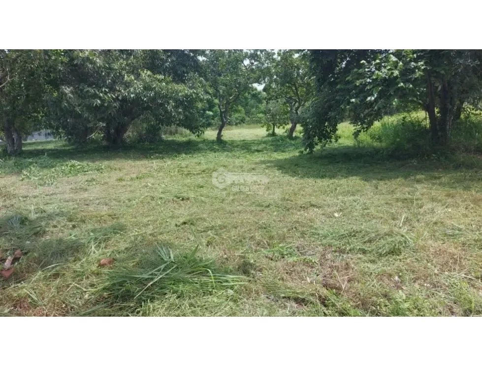 Building Lot for sale in Coronado
