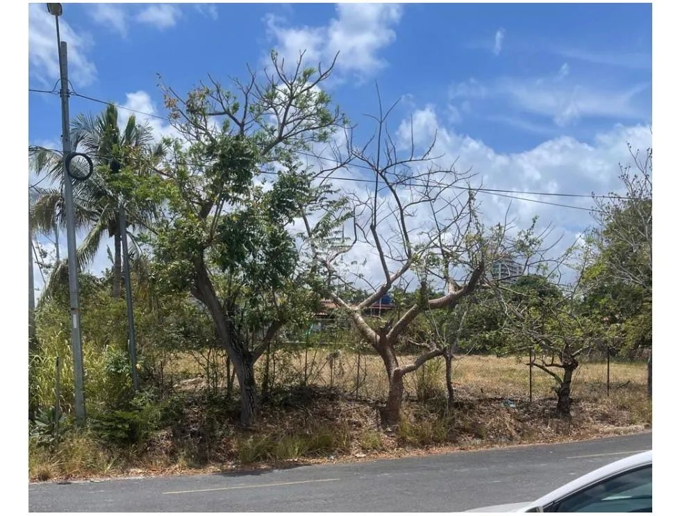 SE VENDE TERRENO EN CORONADO PLANO CERCA A LA VIA PRINCIPAL DE 11000M